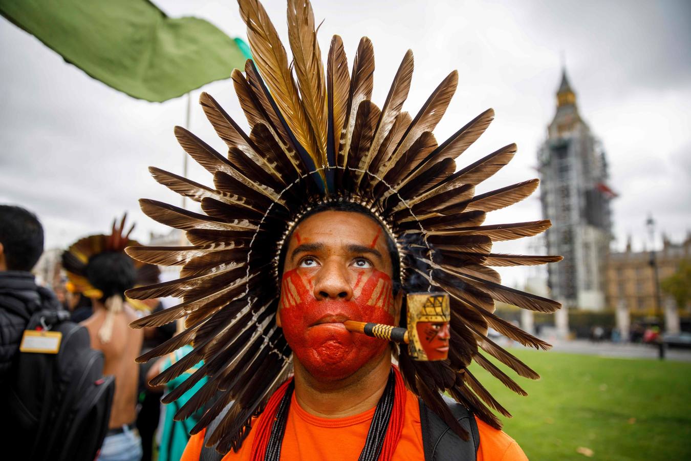 Los Guardianes de los Bosques están enojados