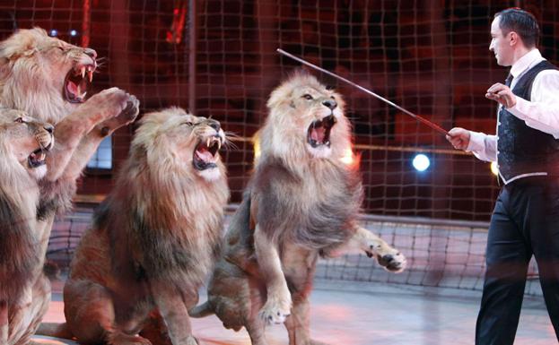 La ley de Protección Animal prohíbe los circos con fieras y el tiro al pichón
