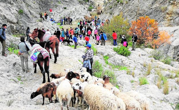 Caravaca promueve la recuperación de vías pecuarias y caminos públicos