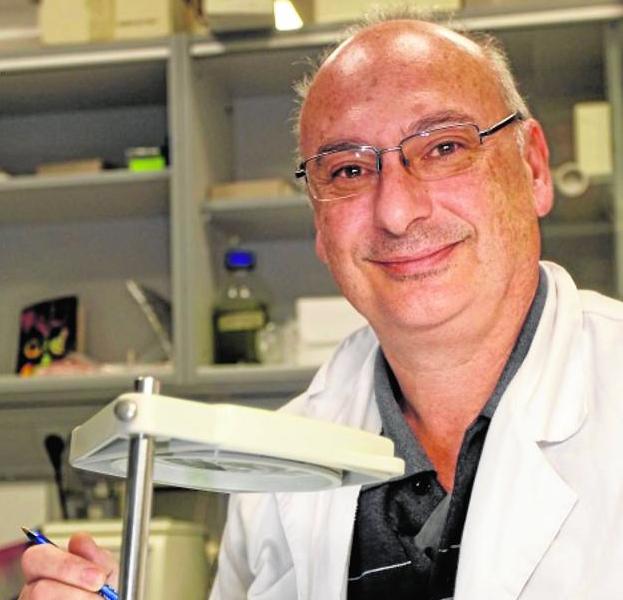 Francis Mojica: «No me veo recogiendo el Nobel ni de casualidad, pero sí a alguien del campo de la edición genética porque es una revolución enorme»
