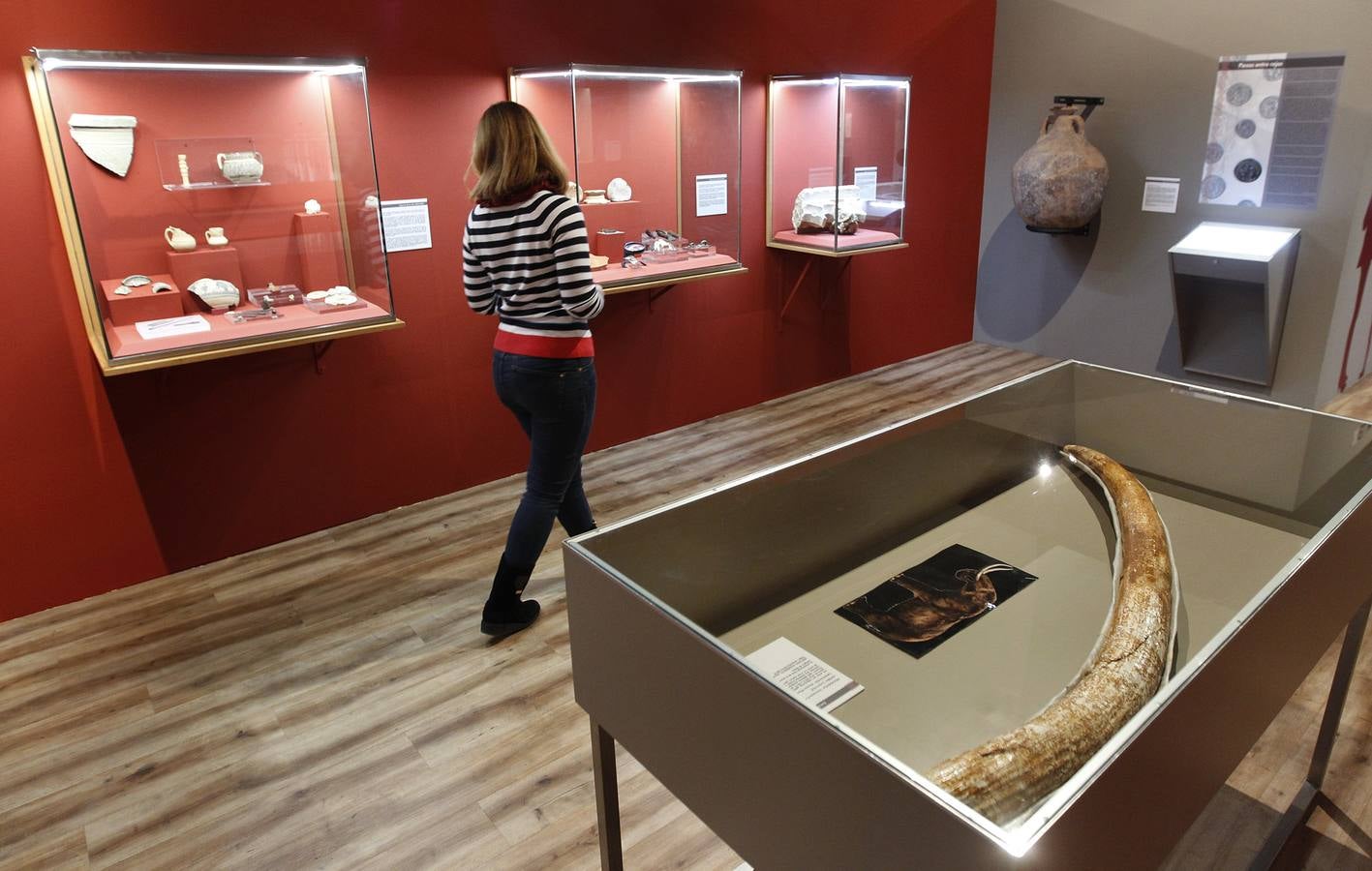 El Museo Arqueológico de Murcia muestra en siete paradas el trabajo de diez años