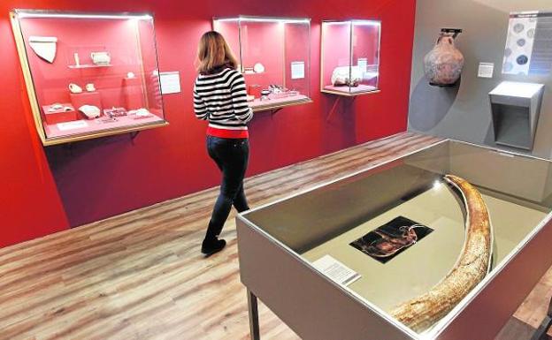 El Museo Arqueológico muestra en siete paradas el trabajo de diez años