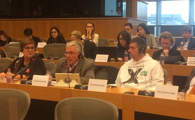 El Comité de Peticiones solicita actualizar la declaración de impacto ambiental de las obras del AVE