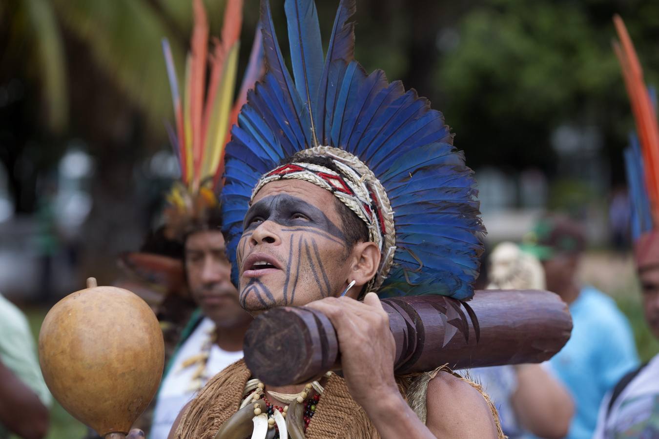 Indios brasileños en pie de guerra