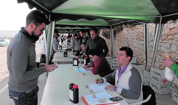 Menos pólvora y más cara para la Purísima