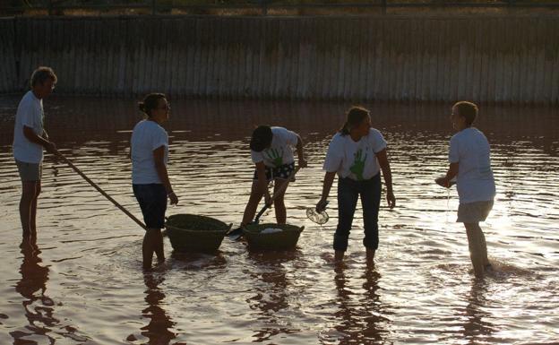 Sal de tierra adentro