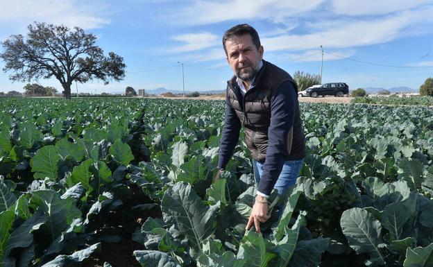 Juan Marín, elegido presidente de la Asociación del Comercio de Frutas y Hortalizas de la UE