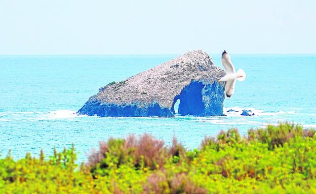 Empieza la instalación en Isla Grosa de fondeos más respetuosos