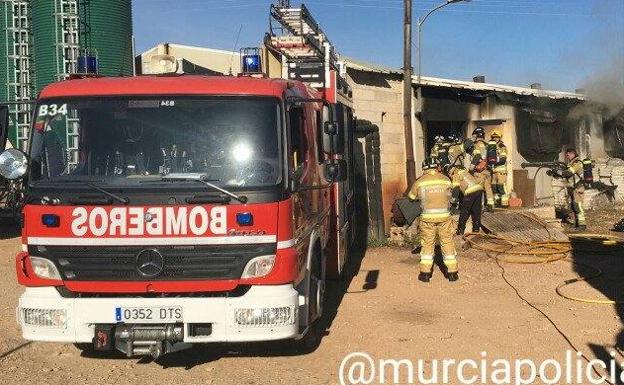 Cerca de dos millares de cerdos mueren en el incendio de un cebadero en Murcia