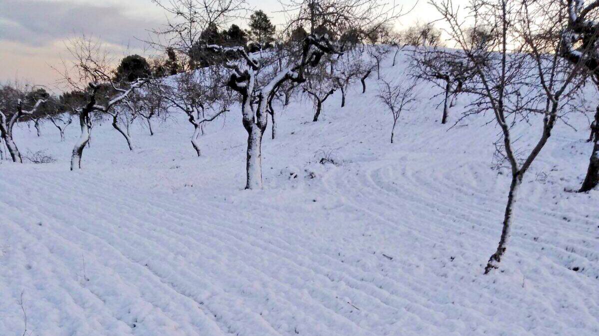La nieve se deja ver en la Región