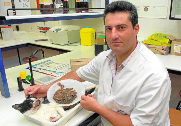 El catedrático de Toxicología de la UMU, Antonio Juan García./Vicente Vicéns / AGM