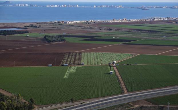 Así se alejarán los cultivos del Mar Menor