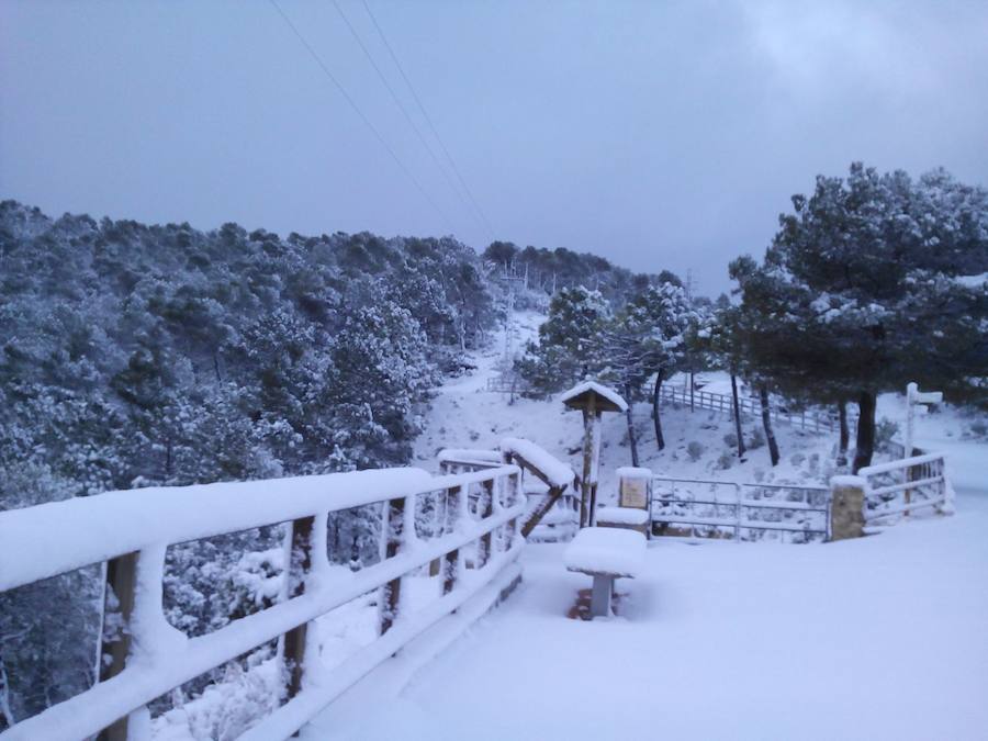 La nieve vuelve a cubrir la Región