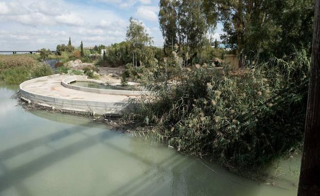 Cambiemos Murcia exije la paralización de la limpieza de cañas en la Contraparada