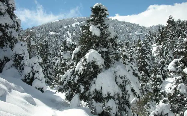 La Sierra de las Nieves, decimosexto parque nacional