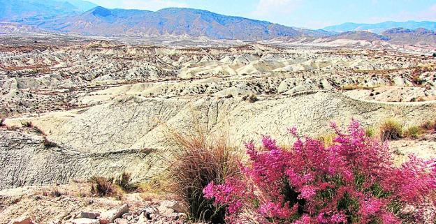 El Ayuntamiento de Abanilla se apunta a la custodia del territorio para proteger el medio natural