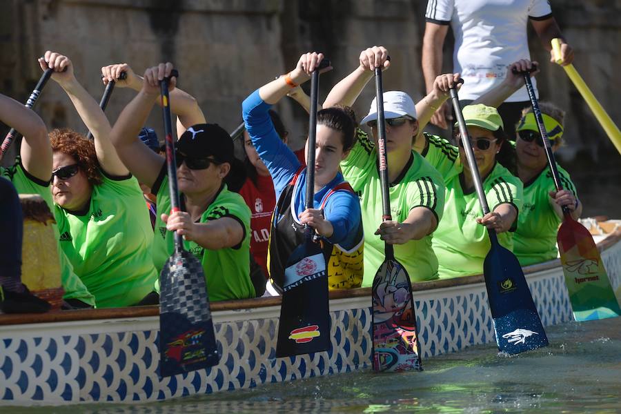 Las piraguas toman el Segura