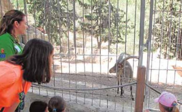 Nutrias, búhos y jabalíes posarán para jóvenes artistas