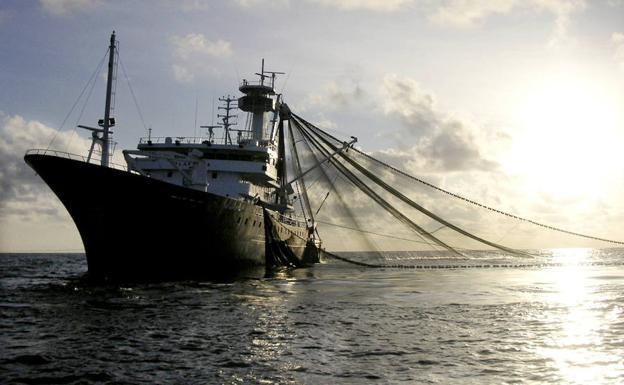 La pesca industrial se come la mitad de los océanos