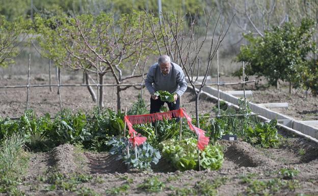 La Huerta mueve su savia