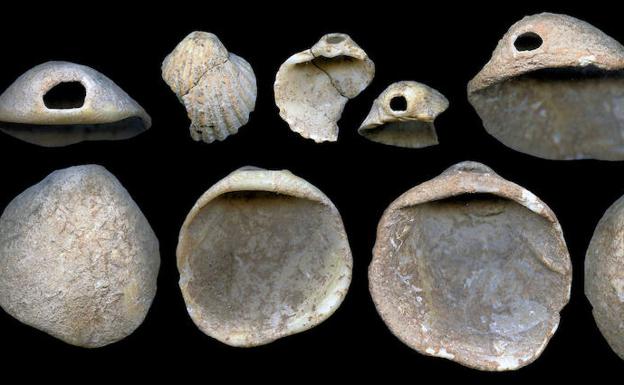 Una investigación atribuye a los neandertales el uso de adornos corporales en conchas