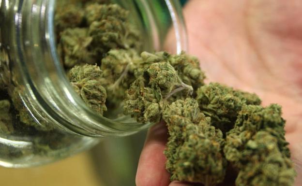 Cinco dosis de cannabis pueden producir psicosis