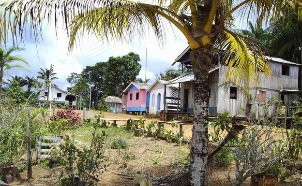 De la Amazonia a Madagascar, el cambio climático podría amenazar al 50% de las especies