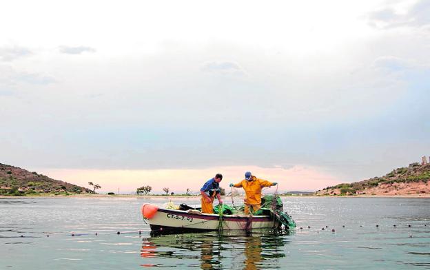 'Pescados con Arte' lanza las redes en tierras aguileñas