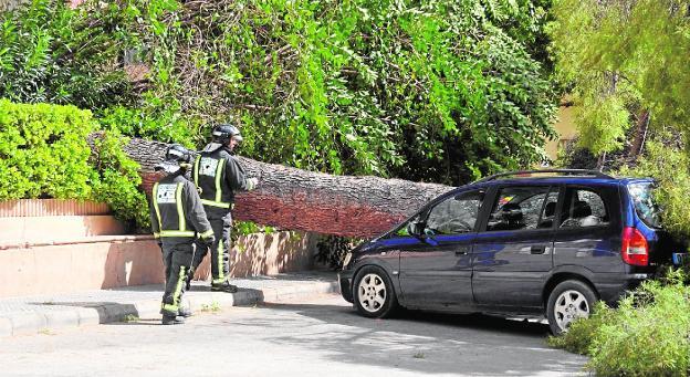 El vendaval derriba árboles, cubiertas y vallas y causa destrozos en coches