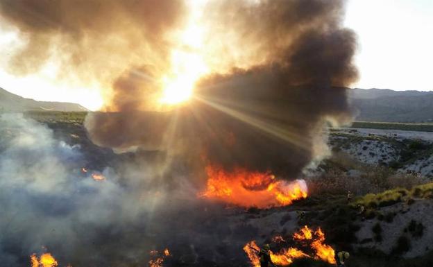 Los bomberos trabajan para extinguir un incendio forestal en Ojós