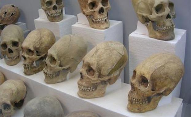 Reconstruyen los milenarios cráneos alargados de Tiwanaku en Bolivia