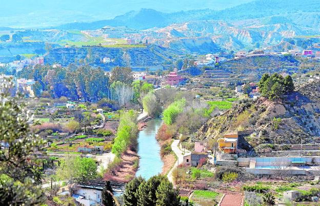 Bosques contra cañaverales