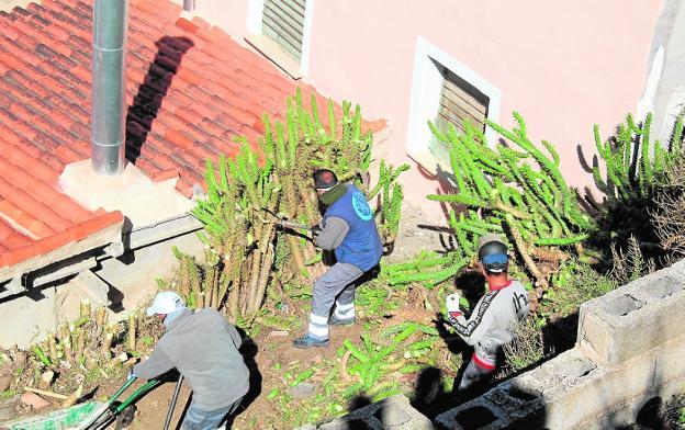 Adecentan la subida al castillo y abren un nuevo sendero