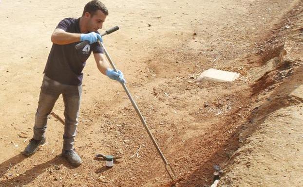 Salud inicia un estudio para valorar el nivel de metales pesados en 184 niños