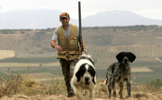 Caza: las órdenes de vedas 2018-2019