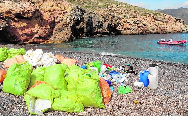 Basura recogida por ANSE en Cala Salitrona (Cartagena)./ANSE