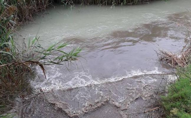 Los posibles vertidos de aguas residuales al río Segura./CHS