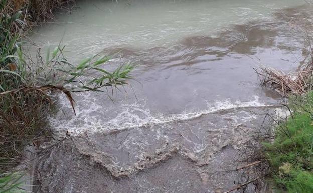 La CHS investiga dos vertidos al río Segura en Alcantarilla y Las Torres de Cotillas