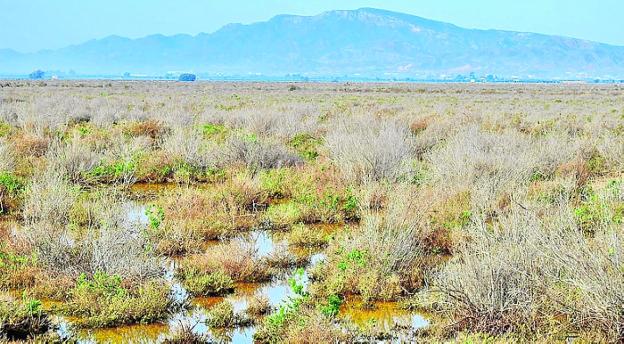 Alhama amplía la red de custodia del territorio con casi 500 hectáreas