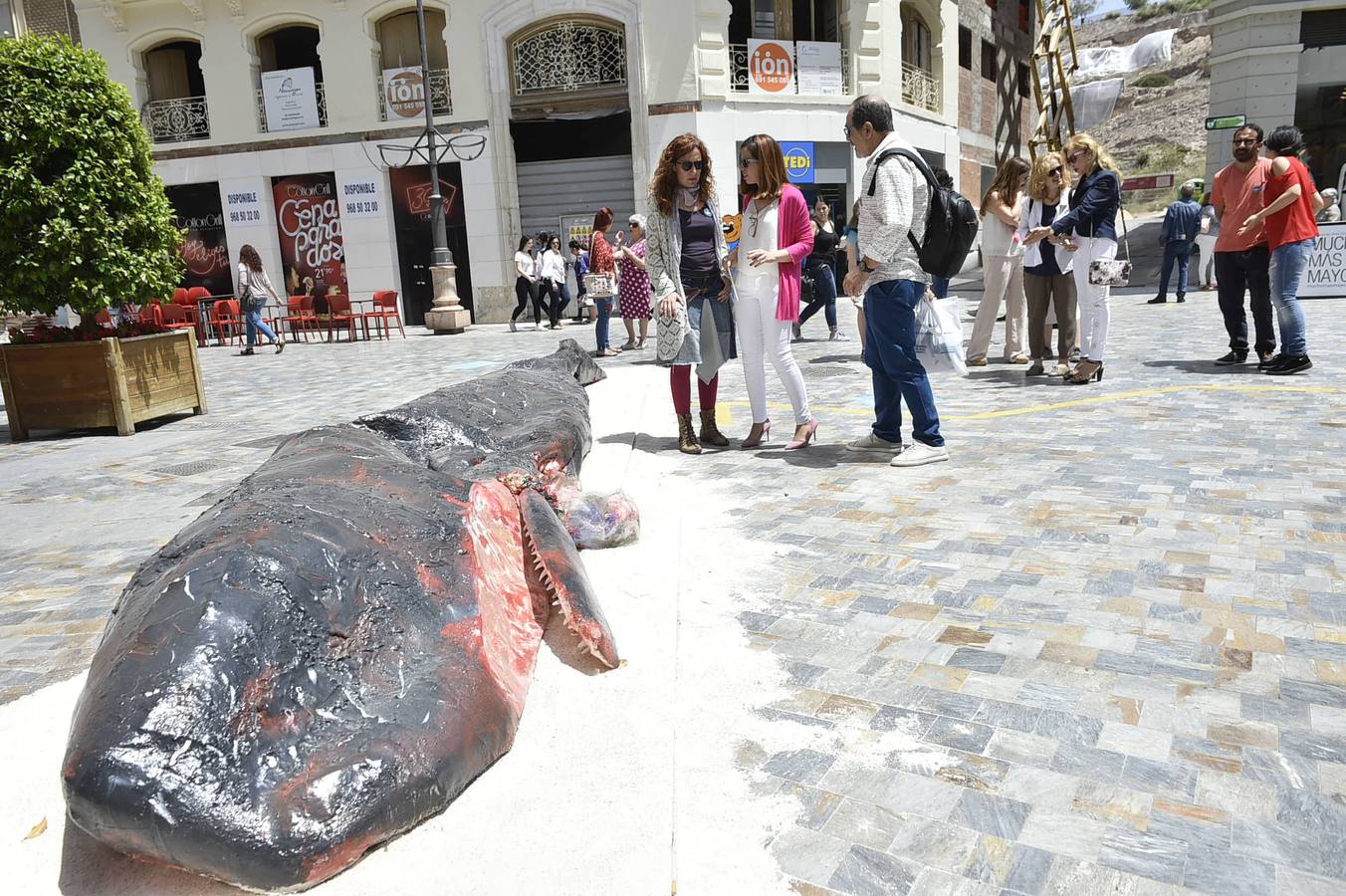 Recrean en Cartagena el cachalote que murió por indigestión de plástico