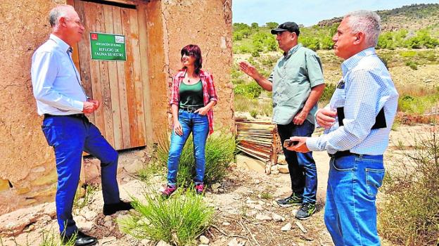 Plantaciones que frenan la erosión y atraen a la fauna