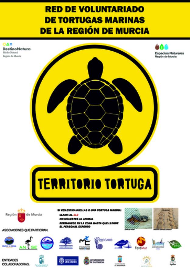 Medio Natural pone en marcha la campaña 'Caretta a la vista!'