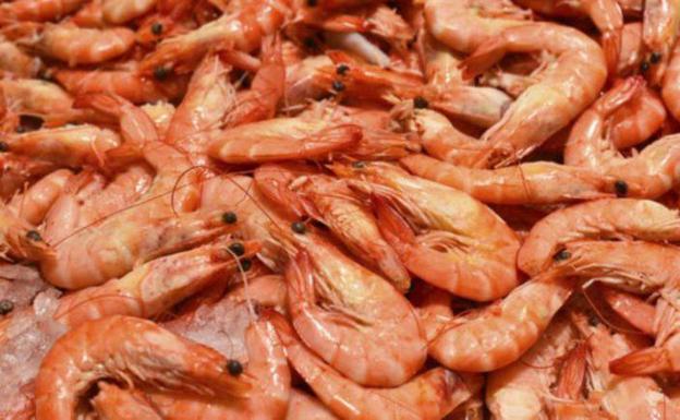 Detectan un peligro para la salud en gambas, langostinos y mejillones destinados al consumo