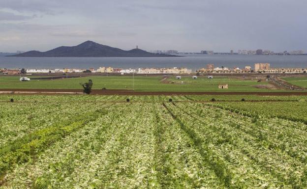 El Ministerio también culpa al regadío