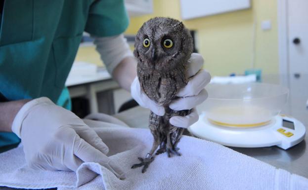 ¿Voy bien para Murcia?