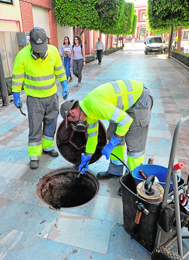 Desinsectan 1.100 kilómetros de la red de saneamiento para controlar las plagas