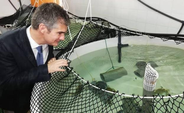 Los empresarios acuícolas de la Región contarán con un tercer polígono en la costa de Lorca
