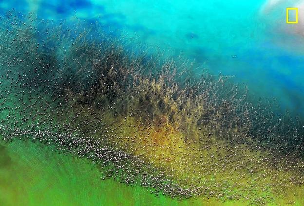 En busca de la belleza inédita