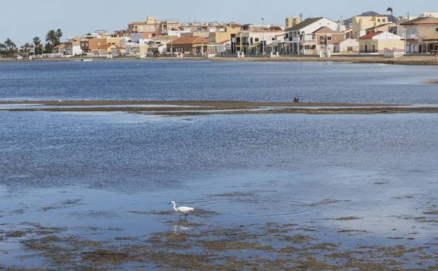 La Comunidad exige al Ministerio que agilice todas las actuaciones que le corresponden en el Mar Menor