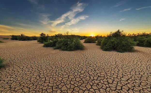 Cuando los abetos crecían en Murcia